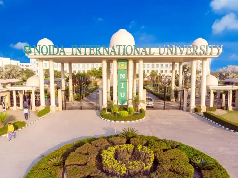 2a8d2d8d-ed4d-4771-9f5e-b9f24846744e-1